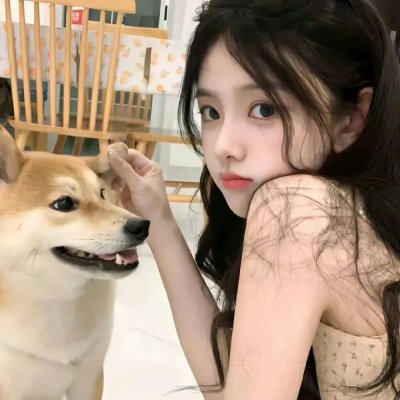 猎罪图鉴之插翅难逃