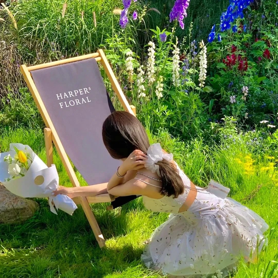 潜能探案组第二季