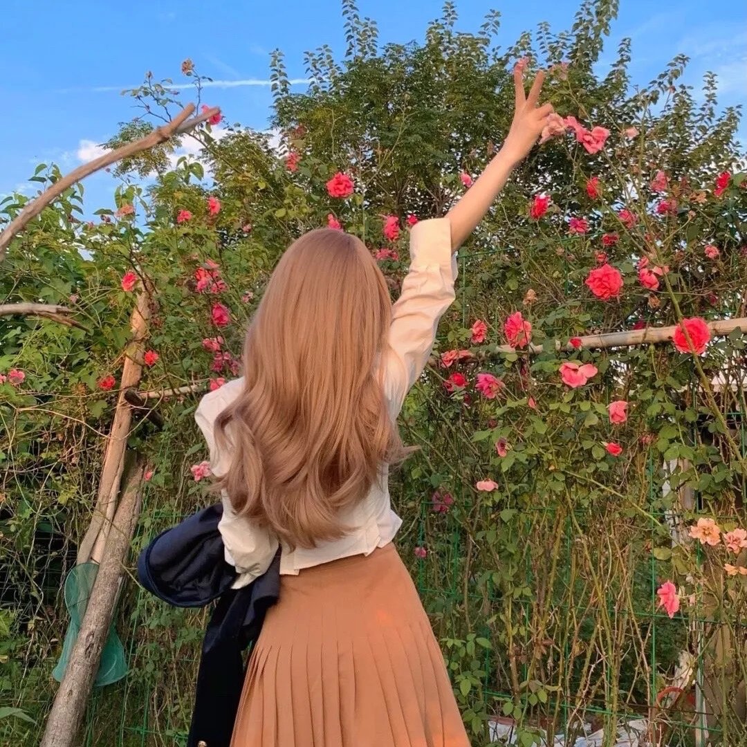 三宝联盟财阀爹地倒追妻